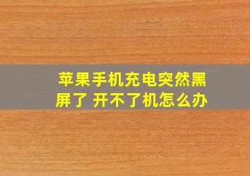 苹果手机充电突然黑屏了 开不了机怎么办